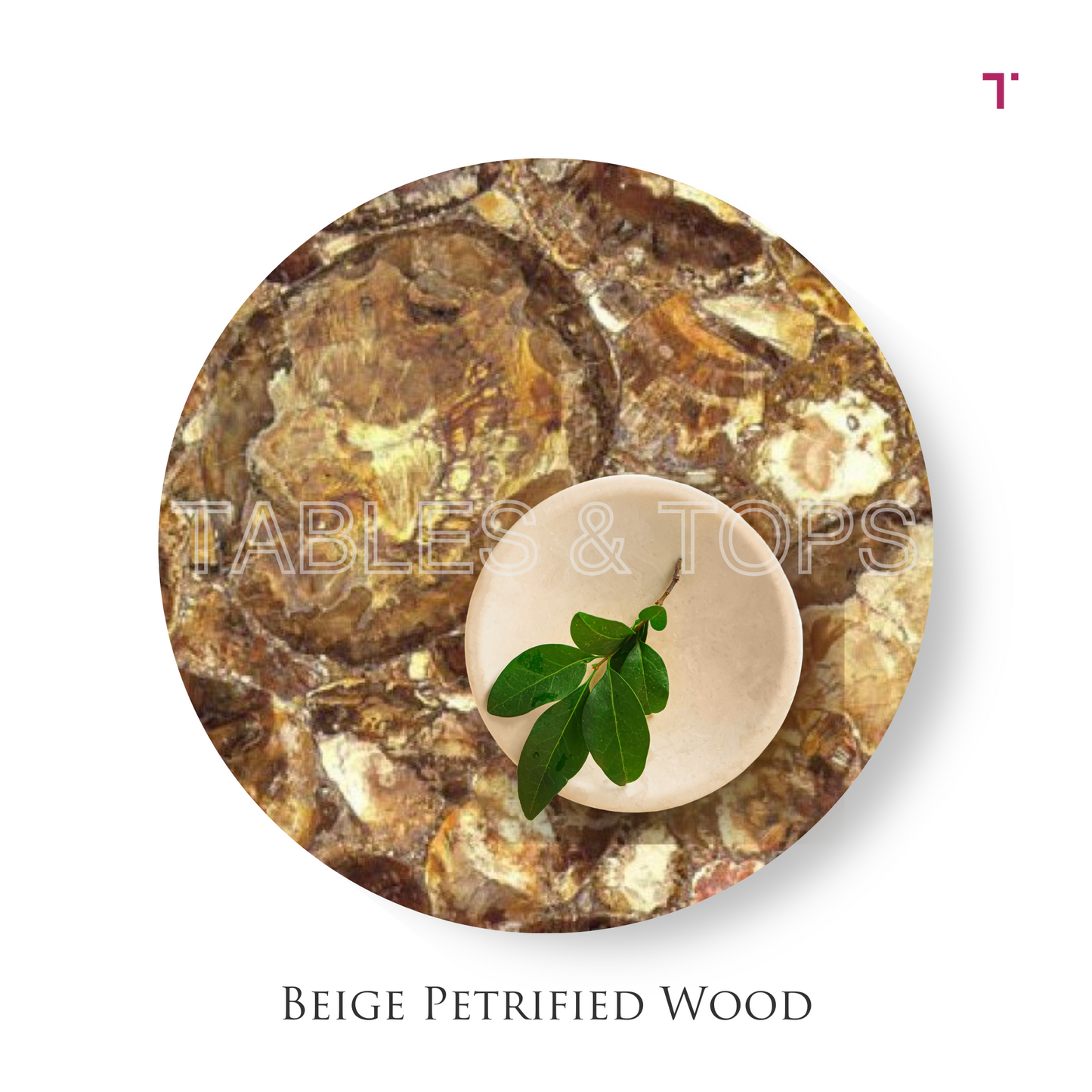 Beige Petrified Wood Table Top