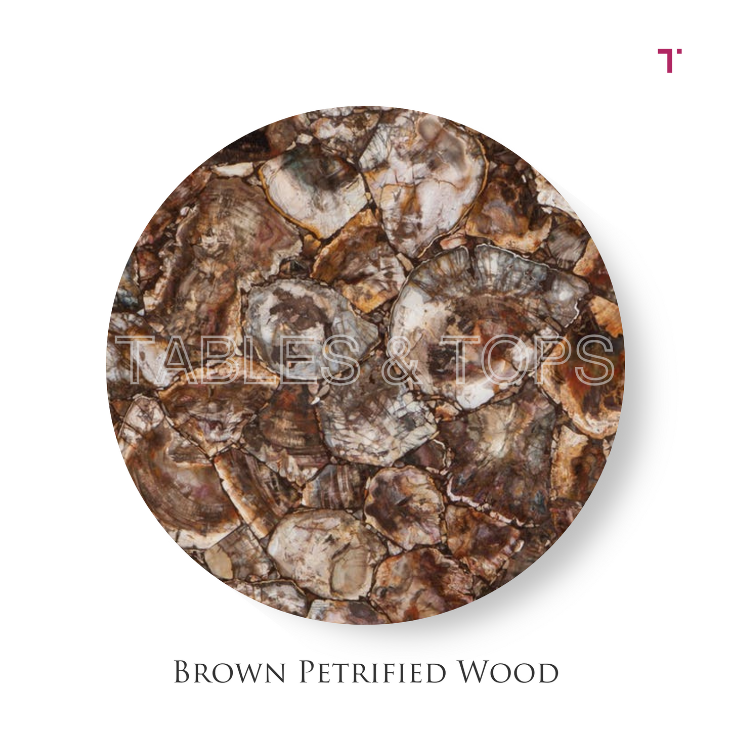 Brown Petrified Wood Table Top