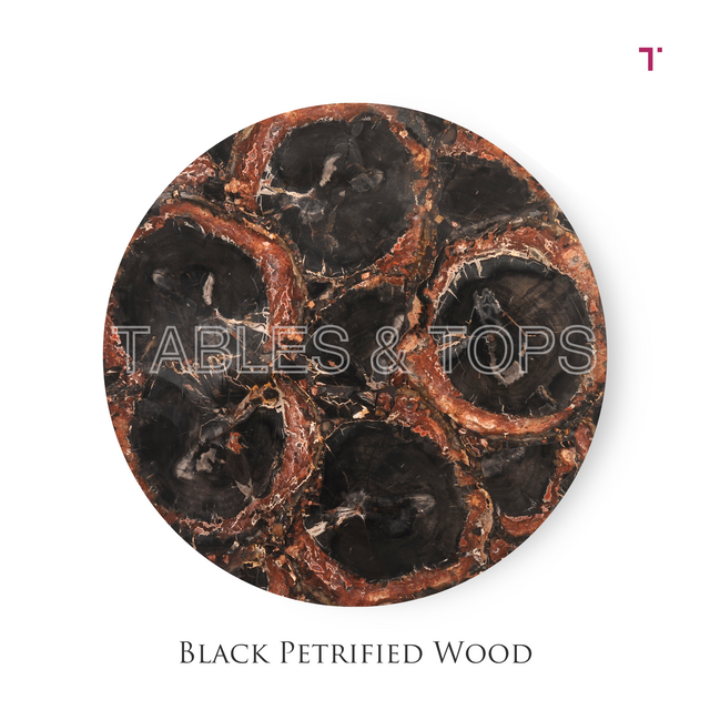 Black Petrified Wood Table Top