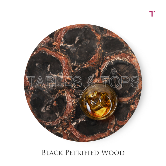 Black Petrified Wood Table Top