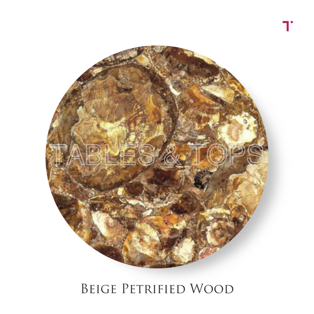 Beige Petrified Wood Table Top